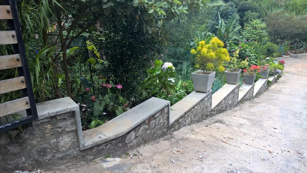 The Nest By Amarasinghe'S Hotel Haputale Ngoại thất bức ảnh